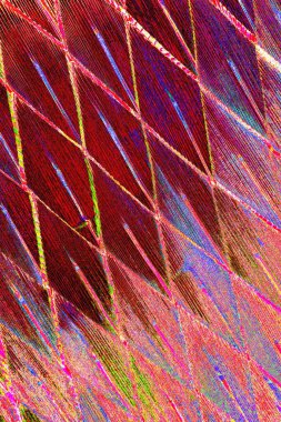 yaratıcı ve tasarım sanatı, kopyalama alanı duvar kağıdı, soyut renkli doku arkaplanı