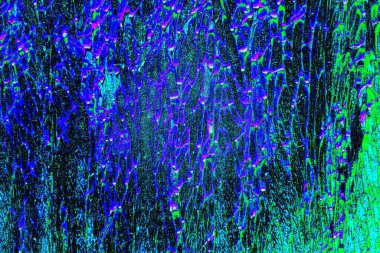 yaratıcı ve tasarım sanatı, kopyalama alanı duvar kağıdı, soyut renkli doku arkaplanı