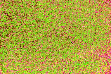 yaratıcı ve tasarım sanatı, kopyalama alanı duvar kağıdı, soyut renkli doku arkaplanı