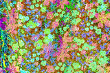 yaratıcı ve tasarım sanatı, kopyalama alanı duvar kağıdı, soyut renkli doku arkaplanı