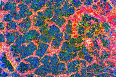 yaratıcı ve tasarım sanatı, kopyalama alanı duvar kağıdı, soyut renkli doku arkaplanı