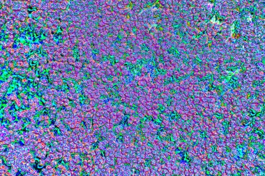 yaratıcı ve tasarım sanatı, kopyalama alanı duvar kağıdı, soyut renkli doku arkaplanı