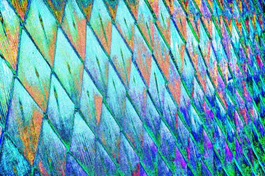 yaratıcı ve tasarım sanatı, kopyalama alanı duvar kağıdı, soyut renkli doku arkaplanı