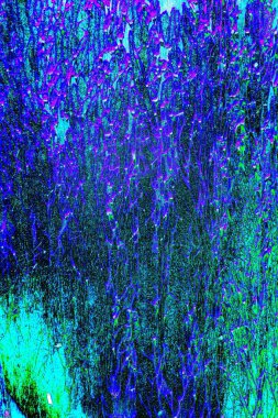 yaratıcı ve tasarım sanatı, kopyalama alanı duvar kağıdı, soyut renkli doku arkaplanı