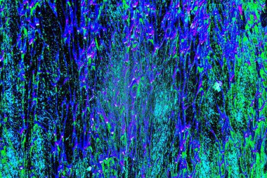 yaratıcı ve tasarım sanatı, kopyalama alanı duvar kağıdı, soyut renkli doku arkaplanı