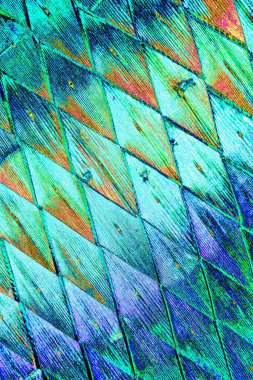 yaratıcı ve tasarım sanatı, kopyalama alanı duvar kağıdı, soyut renkli doku arkaplanı