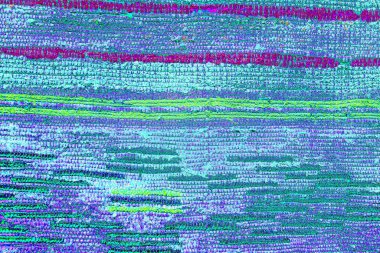 yaratıcı ve tasarım sanatı, kopyalama alanı duvar kağıdı, soyut renkli doku arkaplanı