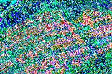 yaratıcı ve tasarım sanatı, kopyalama alanı duvar kağıdı, soyut renkli doku arkaplanı