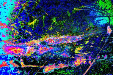yaratıcı ve tasarım sanatı, kopyalama alanı duvar kağıdı, soyut renkli doku arkaplanı