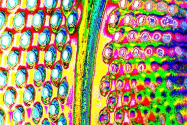 yaratıcı ve tasarım sanatı, kopyalama alanı duvar kağıdı, soyut renkli doku arkaplanı
