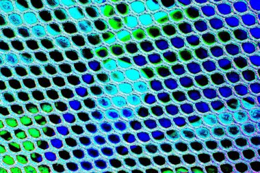 yaratıcı ve tasarım sanatı, kopyalama alanı duvar kağıdı, soyut renkli doku arkaplanı