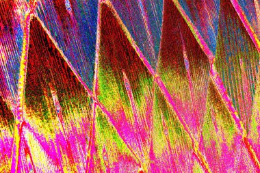 yaratıcı ve tasarım sanatı, kopyalama alanı duvar kağıdı, soyut renkli doku arkaplanı