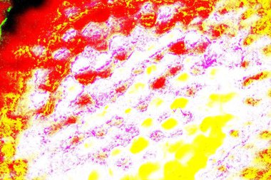 yaratıcı ve tasarım sanatı, kopyalama alanı duvar kağıdı, soyut renkli doku arkaplanı