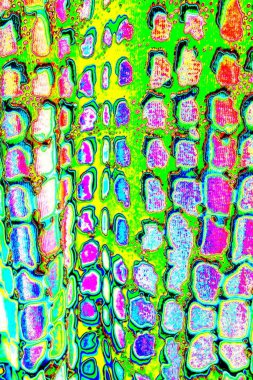 yaratıcı ve tasarım sanatı, kopyalama alanı duvar kağıdı, soyut renkli doku arkaplanı