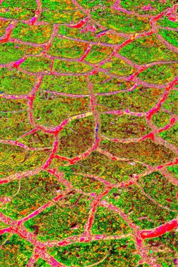 yaratıcı ve tasarım sanatı, kopyalama alanı duvar kağıdı, soyut renkli doku arkaplanı