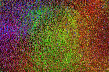 yaratıcı ve tasarım sanatı, kopyalama alanı duvar kağıdı, soyut renkli doku arkaplanı