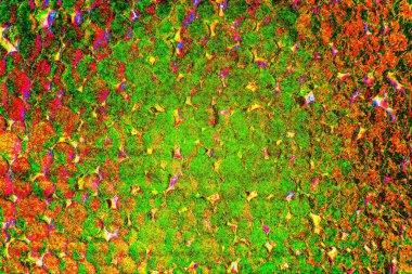 yaratıcı ve tasarım sanatı, kopyalama alanı duvar kağıdı, soyut renkli doku arkaplanı
