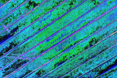 yaratıcı ve tasarım sanatı, kopyalama alanı duvar kağıdı, soyut renkli doku arkaplanı  