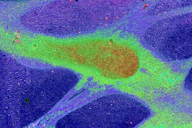 yaratıcı ve tasarım sanatı, kopyalama alanı duvar kağıdı, soyut renkli doku arkaplanı  