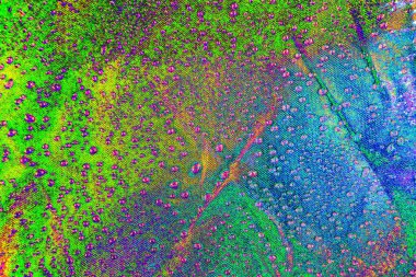 yaratıcı ve tasarım sanatı, kopyalama alanı duvar kağıdı, soyut renkli doku arkaplanı  