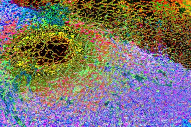 yaratıcı ve tasarım sanatı, kopyalama alanı duvar kağıdı, soyut renkli doku arkaplanı  
