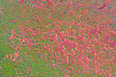 yaratıcı ve tasarım sanatı, kopyalama alanı duvar kağıdı, soyut renkli doku arkaplanı  