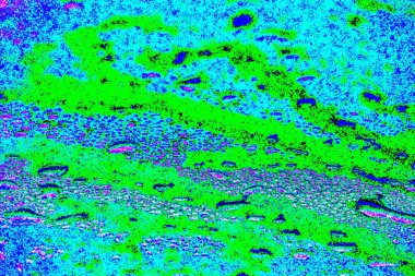 yaratıcı ve tasarım sanatı, kopyalama alanı duvar kağıdı, soyut renkli doku arkaplanı  