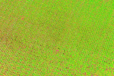 yaratıcı ve tasarım sanatı, kopyalama alanı duvar kağıdı, soyut renkli doku arkaplanı  