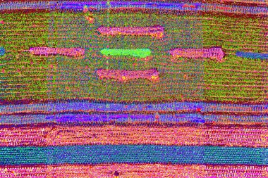 yaratıcı ve tasarım sanatı, kopyalama alanı duvar kağıdı, soyut renkli doku arkaplanı  