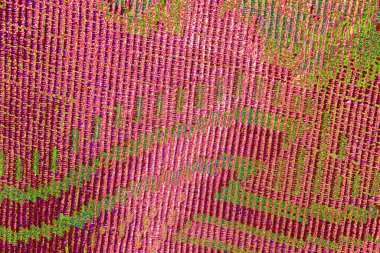 yaratıcı ve tasarım sanatı, kopyalama alanı duvar kağıdı, soyut renkli doku arkaplanı  