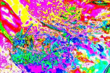 yaratıcı ve tasarım sanatı, kopyalama alanı duvar kağıdı, soyut renkli doku arkaplanı  