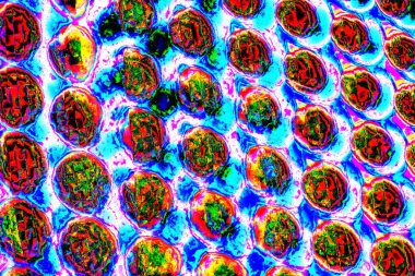 yaratıcı ve tasarım sanatı, kopyalama alanı duvar kağıdı, soyut renkli doku arkaplanı  