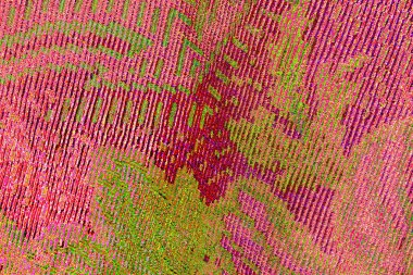 yaratıcı ve tasarım sanatı, kopyalama alanı duvar kağıdı, soyut renkli doku arkaplanı  