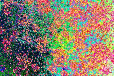 yaratıcı ve tasarım sanatı, kopyalama alanı duvar kağıdı, soyut renkli doku arkaplanı  