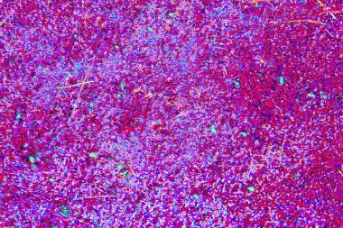 yaratıcı ve tasarım sanatı, kopyalama alanı duvar kağıdı, soyut renkli doku arkaplanı  