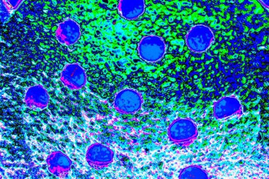 yaratıcı ve tasarım sanatı, kopyalama alanı duvar kağıdı, soyut renkli doku arkaplanı  