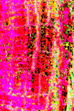 yaratıcı ve tasarım sanatı, kopyalama alanı duvar kağıdı, soyut renkli doku arkaplanı  