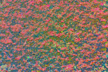 yaratıcı ve tasarım sanatı, kopyalama alanı duvar kağıdı, soyut renkli doku arkaplanı  