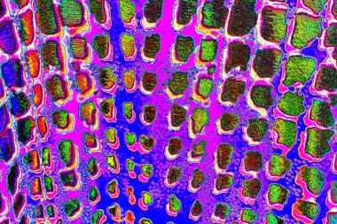 yaratıcı ve tasarım sanatı, kopyalama alanı duvar kağıdı, soyut renkli doku arkaplanı  