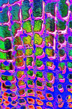 yaratıcı ve tasarım sanatı, kopyalama alanı duvar kağıdı, soyut renkli doku arkaplanı  