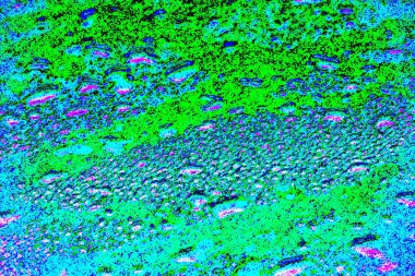 yaratıcı ve tasarım sanatı, kopyalama alanı duvar kağıdı, soyut renkli doku arkaplanı  