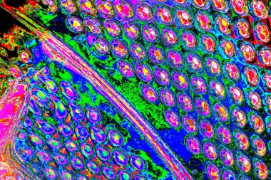 yaratıcı ve tasarım sanatı, kopyalama alanı duvar kağıdı, soyut renkli doku arkaplanı  