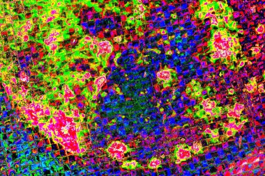 yaratıcı ve tasarım sanatı, kopyalama alanı duvar kağıdı, soyut renkli doku arkaplanı  