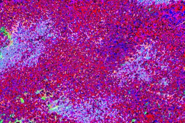 yaratıcı ve tasarım sanatı, kopyalama alanı duvar kağıdı, soyut renkli doku arkaplanı  