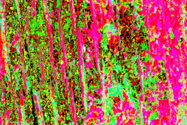 yaratıcı ve tasarım sanatı, kopyalama alanı duvar kağıdı, soyut renkli doku arkaplanı  