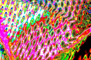 yaratıcı ve tasarım sanatı, kopyalama alanı duvar kağıdı, soyut renkli doku arkaplanı  