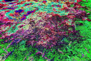 yaratıcı ve tasarım sanatı, kopyalama alanı duvar kağıdı, soyut renkli doku arkaplanı  