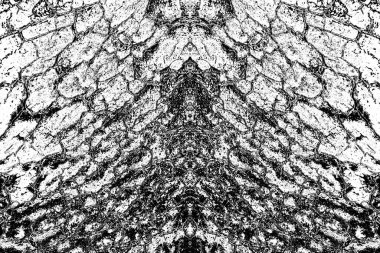 Soyut arkaplan. monokrom dokusu. resim siyah ve beyaz tonları içerir.