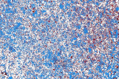 Soyut grunge dokusu, dijital duvar kağıdı