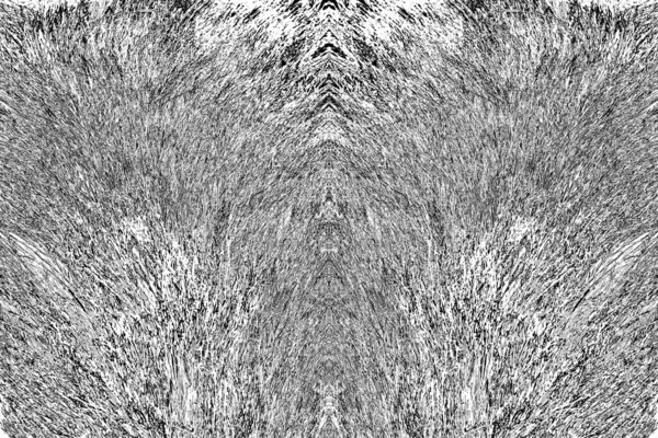 Texture Fourrure Sanglier Animal Sauvage Gros Plan — Photo